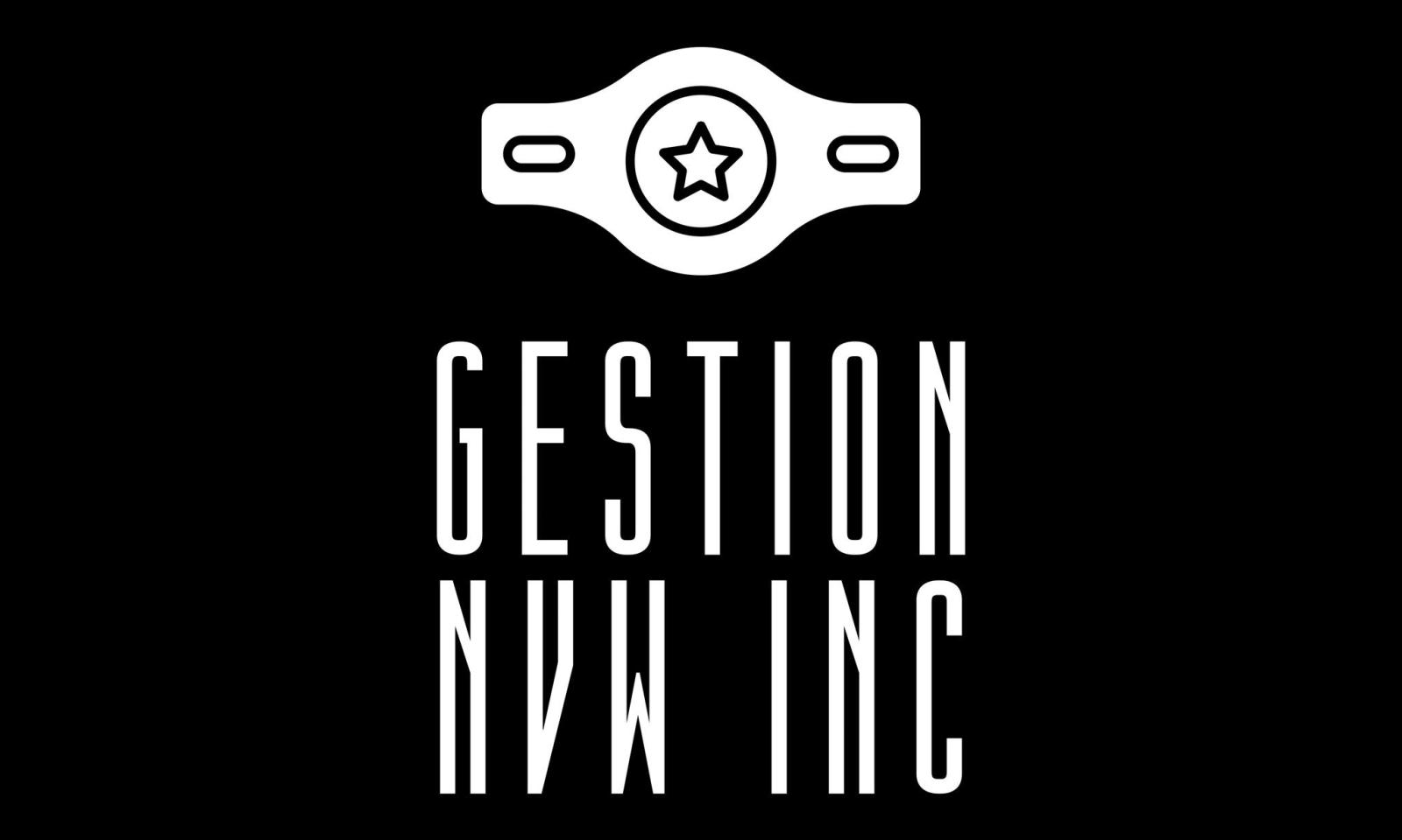 Gestion NVW Inc. Logo